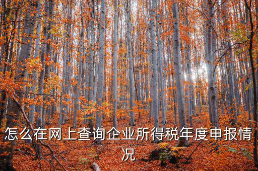 企業(yè)稅務(wù)信息如何查詢系統(tǒng)，通過(guò)企業(yè)注冊(cè)號(hào)和地稅登記證號(hào)如何查詢企業(yè)信息