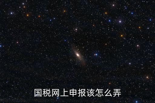 國稅新系統(tǒng)如何申報，國稅網(wǎng)上申報該怎么弄