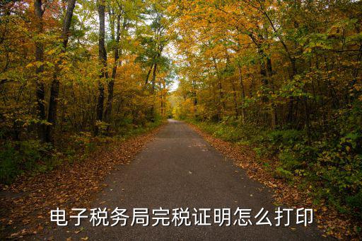 福建省網(wǎng)上稅務(wù)局如何打印，電子稅務(wù)局完稅證明怎么打印