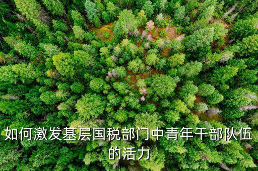 稅務(wù)如何激發(fā)干部活力，如何激發(fā)稅務(wù)干部的創(chuàng)新積極性