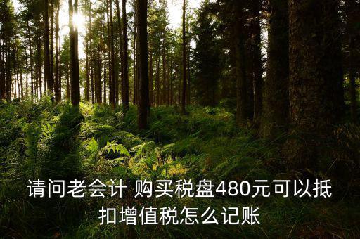 請問老會計(jì) 購買稅盤480元可以抵扣增值稅怎么記賬