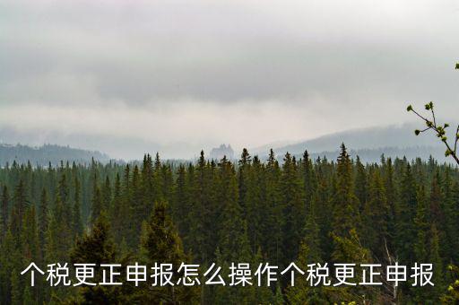 福建個人所得稅如何申報更正，個稅申報錯了如何更正
