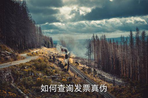 如何查北京的發(fā)票真?zhèn)?，北京電子發(fā)票真?zhèn)尾樵?/></a></span><span id=