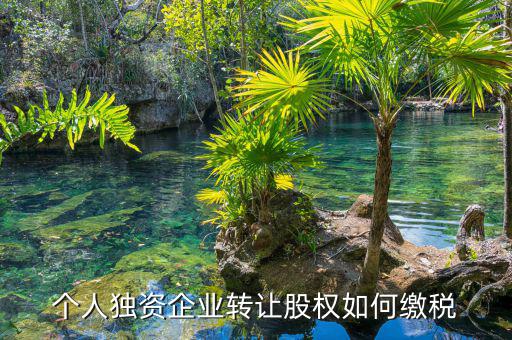 個人股權(quán)轉(zhuǎn)讓如何繳稅，轉(zhuǎn)讓股權(quán)個人所得稅怎么交