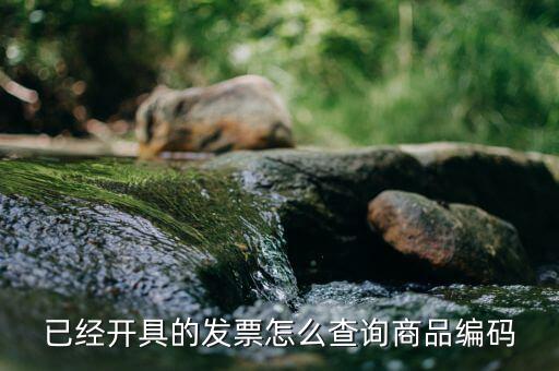 如何查詢6位開票代碼，開票碼在哪里找一定要填嗎