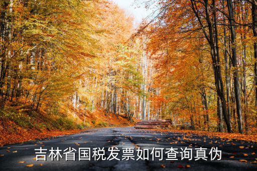 吉林如何查發(fā)票真?zhèn)尾樵?，吉林省?guó)稅發(fā)票如何查詢真?zhèn)?/></a></span><span id=