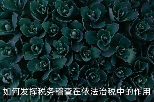 稽查部門如何優(yōu)化稅收營(yíng)商環(huán)境，如何充分發(fā)揮稽查職能作用更好服務(wù)于全省稅收征管工作發(fā)展大局