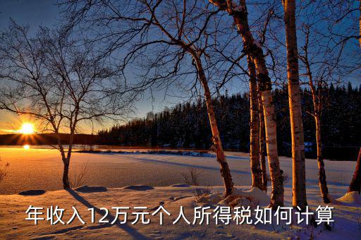 如何計(jì)算12萬(wàn)申報(bào)，年收入12萬(wàn)元個(gè)人所得稅如何計(jì)算