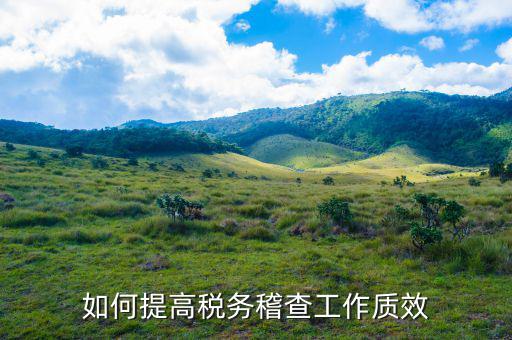 如何提高國稅稽查工作質效，如何提高稅務稽查工作質效