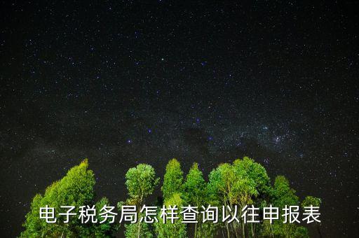 如何查詢國(guó)稅申報(bào)，如何查詢個(gè)人所得稅申報(bào)明細(xì)情況