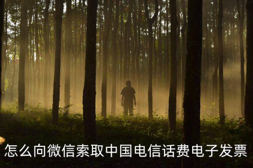 發(fā)票幫公眾號(hào)如何使用，9月1號(hào)預(yù)付微信公眾號(hào)300元9月6號(hào)收到發(fā)票要怎么做賬