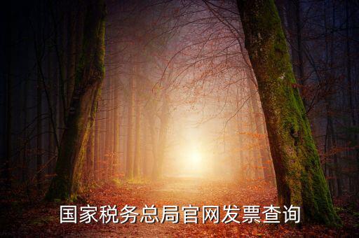 江蘇國稅如何查詢發(fā)票，江蘇發(fā)票真?zhèn)尾樵內(nèi)绾尾樵兘K發(fā)票真?zhèn)尾樵內(nèi)绾尾樵冏钪匾氖沁M