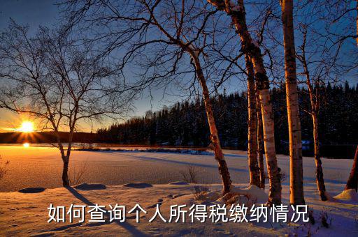如何查詢自己交稅情況，個(gè)人繳稅記錄怎么查詢