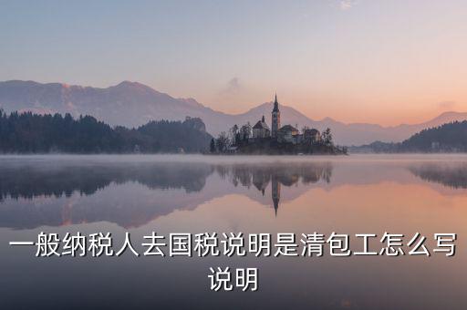 一般納稅人去國(guó)稅說明是清包工怎么寫說明