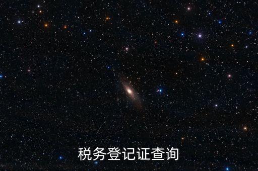 稅務機關備案信息如何查詢系統(tǒng)，稅務登記證查詢