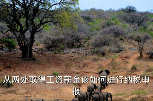 多出取得工資 如何申報(bào)個(gè)稅，個(gè)人多處取得所得如何申報(bào)繳納個(gè)稅