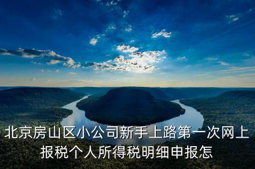 北京市網(wǎng)上稅務(wù)局如何報(bào)稅，北京稅務(wù)局網(wǎng)上報(bào)到怎么操作