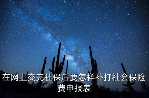 在網(wǎng)上交完社保后要怎樣補(bǔ)打社會保險(xiǎn)費(fèi)申報(bào)表