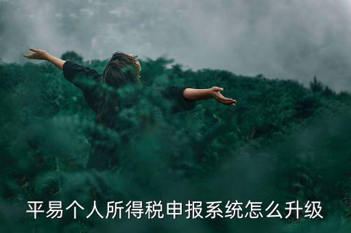 個(gè)稅如何在線升級(jí)，個(gè)稅系統(tǒng)的版本號(hào)V12146如何升級(jí)V12159