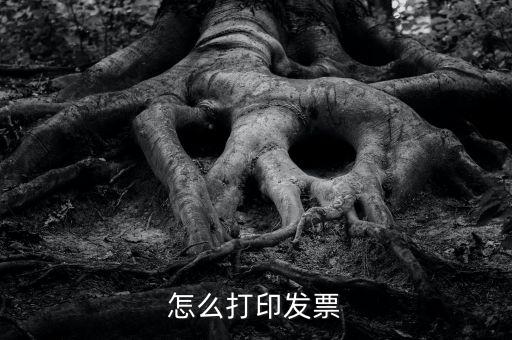 億企贏攜稅寶發(fā)票如何打印，這樣怎么打印電子發(fā)票