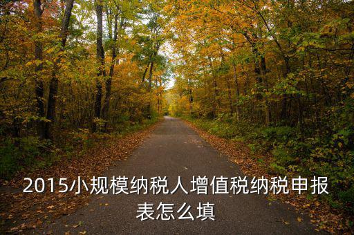 小規(guī)模納稅人國(guó)稅申報(bào)表如何填，小規(guī)模納稅人的報(bào)表怎么填