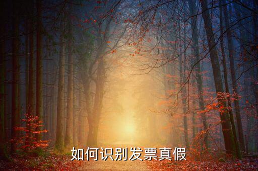 深圳國(guó)稅局發(fā)票如何查詢真?zhèn)尾樵?，如何在認(rèn)證前查驗(yàn)發(fā)票真?zhèn)?/></a></span><span id=