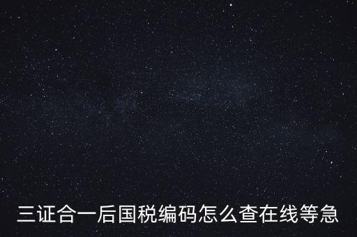 如何查詢(xún)個(gè)人稅務(wù)編號(hào)查詢(xún)系統(tǒng)，請(qǐng)問(wèn)在哪里可以查到納稅人編碼