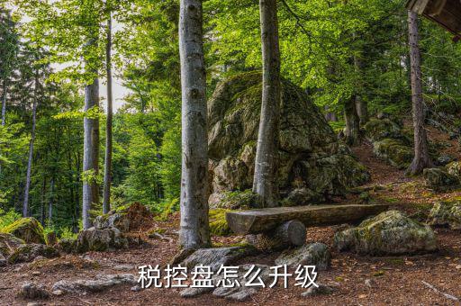 個人所得稅軟件如何升級，軟件怎樣升級