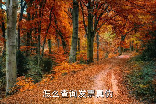 上網(wǎng)如何查詢發(fā)票真?zhèn)?，怎樣才能在網(wǎng)上驗(yàn)證發(fā)票的真假
