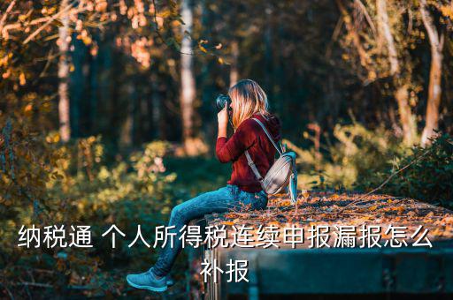 源泉扣繳如何補(bǔ)申報(bào)，個(gè)人所得稅代扣代繳系統(tǒng) 補(bǔ)申報(bào)怎樣操作