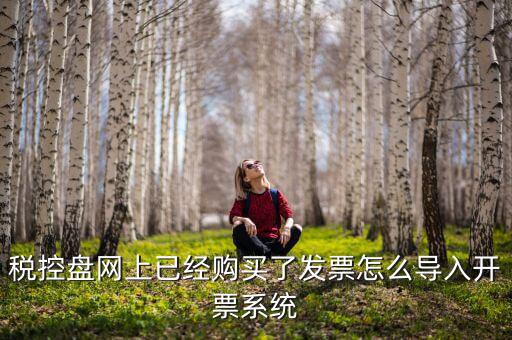 稅控盤網上已經購買了發(fā)票怎么導入開票系統(tǒng)