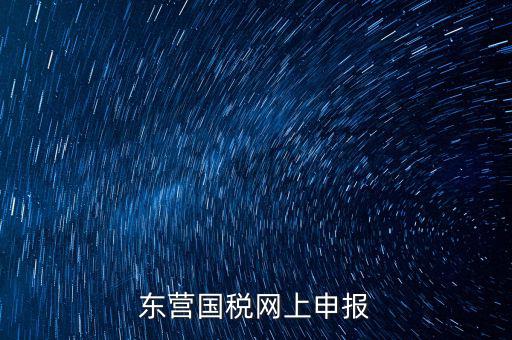 東營(yíng)國(guó)稅如何網(wǎng)上申報(bào)，東營(yíng)國(guó)稅網(wǎng)上申報(bào)