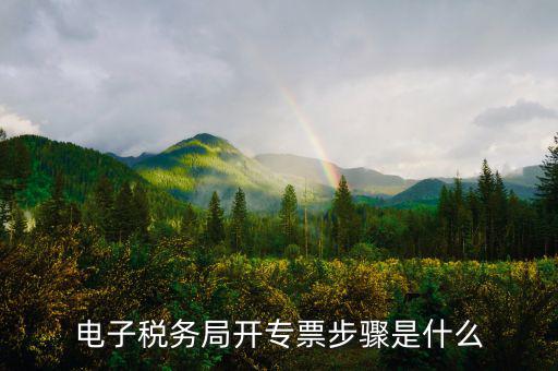 山西省稅務(wù)局網(wǎng)上如何開專票，如何開增值稅專用發(fā)票