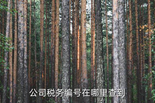 如何查遼寧省國稅局納稅識別號，跪求 在哪點(diǎn)能查詢到納稅人識別號