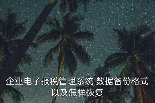 企業(yè)電子報稅管理系統(tǒng) 數(shù)據(jù)備份格式以及怎樣恢復