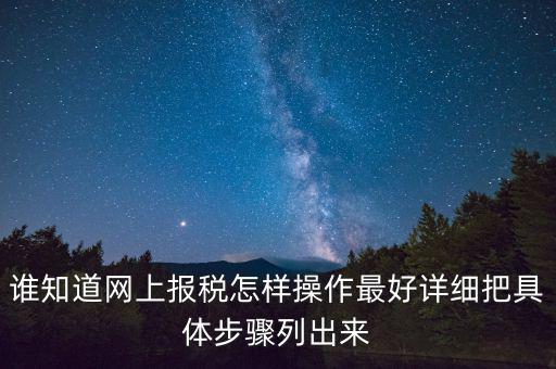 如何進(jìn)行網(wǎng)上納稅申報，如何進(jìn)行網(wǎng)上申報稅款