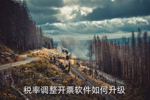 成品油企業(yè)開票系統(tǒng)如何升級(jí)，開票系統(tǒng)升級(jí)的步驟
