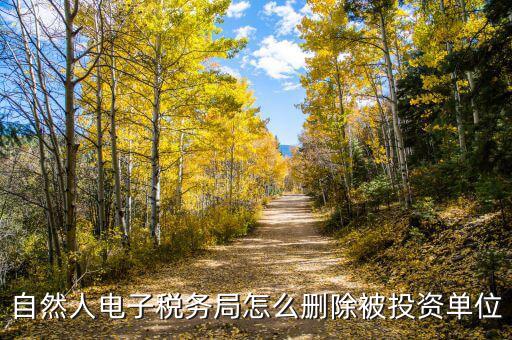 電子稅務局如何刪除不管的企業(yè)，電子稅務局網(wǎng)頁怎么清除企業(yè)稅號記錄