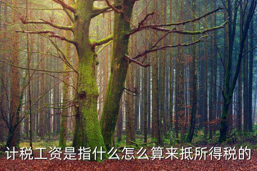 工資如何抵扣所得稅，企業(yè)所得稅工資抵扣的一些訣竅