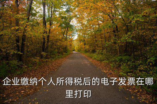 國稅網(wǎng)如何打印電子發(fā)票，增值稅電子普通發(fā)票怎么打印