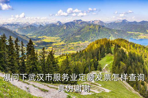 湖北省定額發(fā)票真?zhèn)稳绾尾樵?，湖北地稅發(fā)票真?zhèn)尾樵兊降资鞘裁礀|西都查不到
