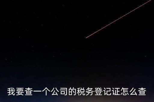 如何查企業(yè)的稅收記錄，想查一個(gè)公司的稅費(fèi)情況怎么查