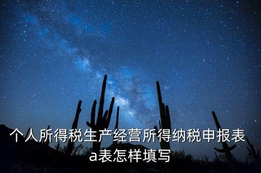 個人經(jīng)營所得申報表a表如何填，個人所得稅經(jīng)營所得稅申報表a表怎么填