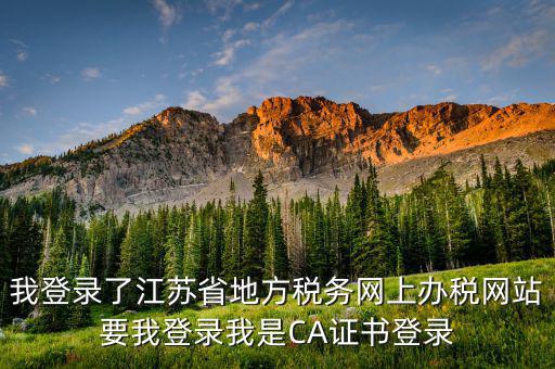 我登錄了江蘇省地方稅務(wù)網(wǎng)上辦稅網(wǎng)站要我登錄我是CA證書(shū)登錄