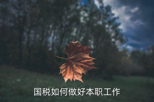 如何做好2018年的國稅工作，如何做好新形勢下的國稅工作