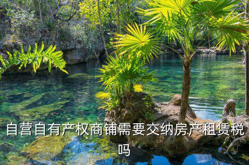 自有商鋪如何繳租賃稅，自有商鋪 是否交出租稅