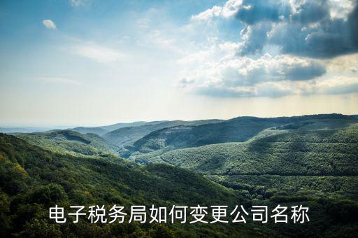 國稅系統(tǒng)如何更改公司，自然人電子稅務(wù)局怎么更換企業(yè)