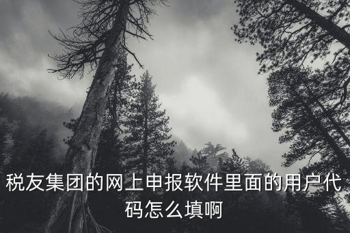 稅友軟件如何申報(bào)，稅友通是如何報(bào)稅的