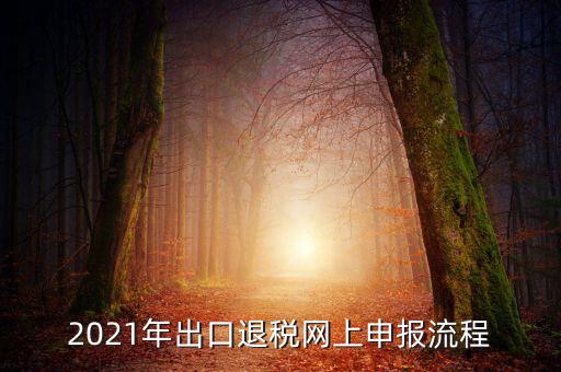 如何登錄出口退稅網，出口退稅申報流程操作