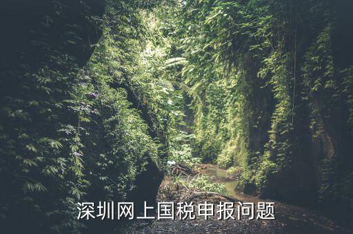 深圳網上國稅申報問題